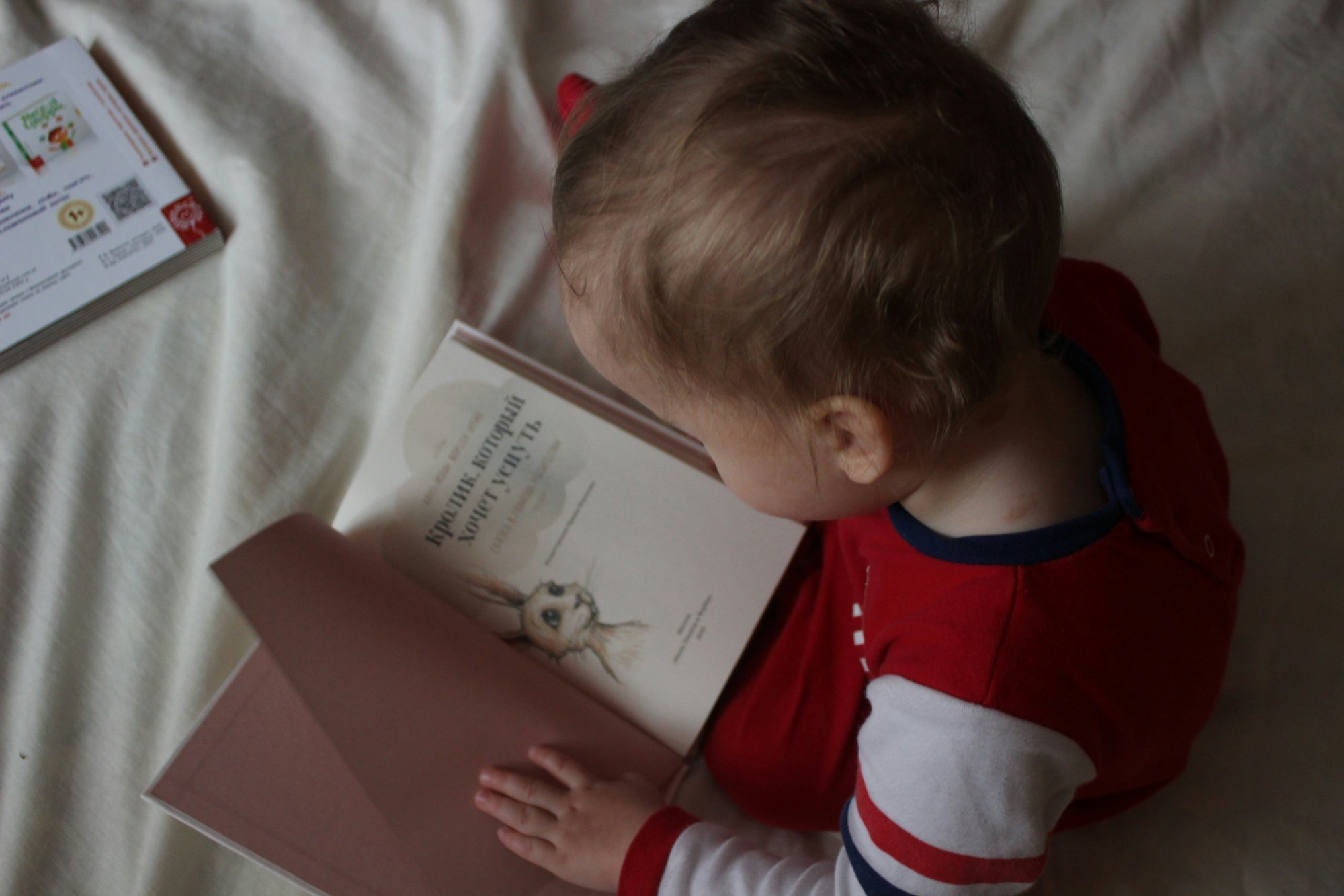 Enfant et lecture